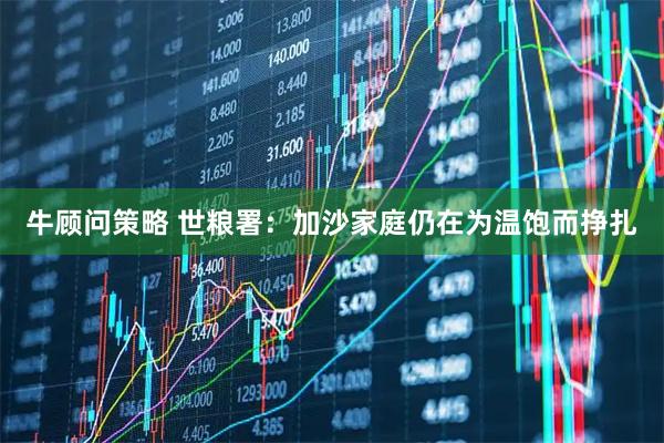 牛顾问策略 世粮署：加沙家庭仍在为温饱而挣扎