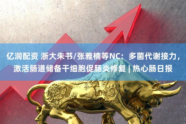 亿润配资 浙大朱书/张雅楠等NC：多菌代谢接力，激活肠道储备干细胞促肠炎修复 | 热心肠日报