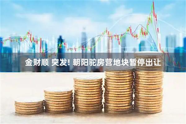 金财顺 突发! 朝阳驼房营地块暂停出让